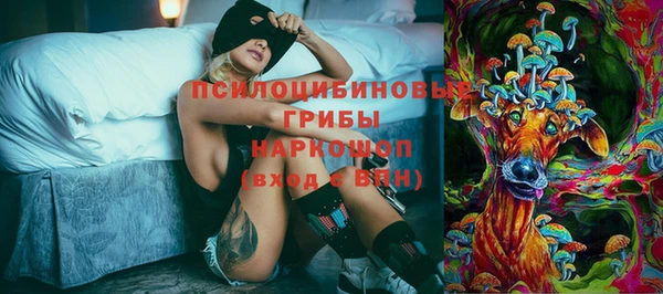 мет Алексин