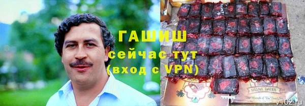 мет Алексин
