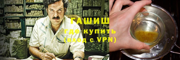 мет Алексин