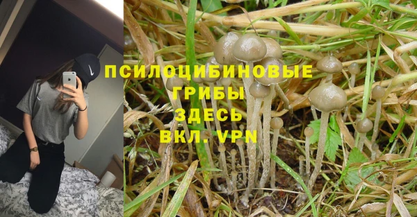 марки lsd Алексеевка