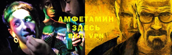 мет Алексин